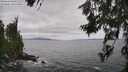 ./images/koeye/fitz-hugh/20260629/fitz-hugh20260629_142001M.jpg