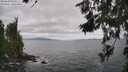 ./images/koeye/fitz-hugh/20260629/fitz-hugh20260629_143001M.jpg