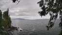 ./images/koeye/fitz-hugh/20260629/fitz-hugh20260629_143501M.jpg