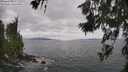 ./images/koeye/fitz-hugh/20260629/fitz-hugh20260629_145001M.jpg