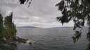 ./images/koeye/fitz-hugh/20260629/fitz-hugh20260629_145501M.jpg