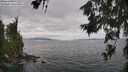 ./images/koeye/fitz-hugh/20260629/fitz-hugh20260629_150001M.jpg