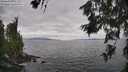 ./images/koeye/fitz-hugh/20260629/fitz-hugh20260629_150501M.jpg