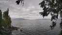 ./images/koeye/fitz-hugh/20260629/fitz-hugh20260629_151001M.jpg