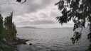./images/koeye/fitz-hugh/20260629/fitz-hugh20260629_154002M.jpg