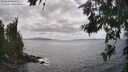 ./images/koeye/fitz-hugh/20260629/fitz-hugh20260629_160002M.jpg