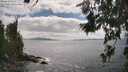 ./images/koeye/fitz-hugh/20260629/fitz-hugh20260629_161001M.jpg