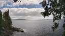 ./images/koeye/fitz-hugh/20260629/fitz-hugh20260629_161501M.jpg