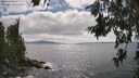 ./images/koeye/fitz-hugh/20260629/fitz-hugh20260629_162002M.jpg
