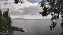 ./images/koeye/fitz-hugh/20260629/fitz-hugh20260629_163501M.jpg