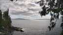 ./images/koeye/fitz-hugh/20260629/fitz-hugh20260629_164501M.jpg