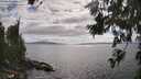 ./images/koeye/fitz-hugh/20260629/fitz-hugh20260629_165001M.jpg
