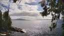 ./images/koeye/fitz-hugh/20260629/fitz-hugh20260629_170001M.jpg