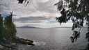 ./images/koeye/fitz-hugh/20260629/fitz-hugh20260629_173501M.jpg