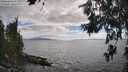 ./images/koeye/fitz-hugh/20260629/fitz-hugh20260629_174501M.jpg