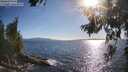 ./images/koeye/fitz-hugh/20260629/fitz-hugh20260629_182501M.jpg