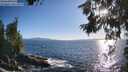./images/koeye/fitz-hugh/20260629/fitz-hugh20260629_191502M.jpg