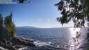 ./images/koeye/fitz-hugh/20260629/fitz-hugh20260629_192001M.jpg