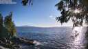 ./images/koeye/fitz-hugh/20260629/fitz-hugh20260629_194002M.jpg