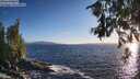 ./images/koeye/fitz-hugh/20260629/fitz-hugh20260629_202001M.jpg
