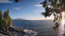./images/koeye/fitz-hugh/20260629/fitz-hugh20260629_204002M.jpg