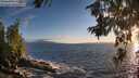 ./images/koeye/fitz-hugh/20260629/fitz-hugh20260629_204502M.jpg