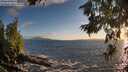./images/koeye/fitz-hugh/20260629/fitz-hugh20260629_205001M.jpg
