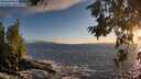 ./images/koeye/fitz-hugh/20260629/fitz-hugh20260629_205501M.jpg