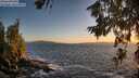 ./images/koeye/fitz-hugh/20260629/fitz-hugh20260629_212501M.jpg