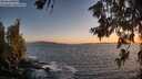 ./images/koeye/fitz-hugh/20260629/fitz-hugh20260629_214002M.jpg
