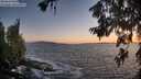 ./images/koeye/fitz-hugh/20260629/fitz-hugh20260629_214501M.jpg