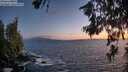 ./images/koeye/fitz-hugh/20260629/fitz-hugh20260629_222001M.jpg