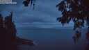 ./images/koeye/fitz-hugh/20260630/fitz-hugh20260630_043501M.jpg