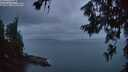 ./images/koeye/fitz-hugh/20260630/fitz-hugh20260630_045002M.jpg