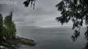 ./images/koeye/fitz-hugh/20260630/fitz-hugh20260630_053501M.jpg