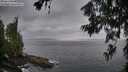 ./images/koeye/fitz-hugh/20260630/fitz-hugh20260630_054002M.jpg
