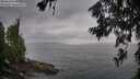 ./images/koeye/fitz-hugh/20260630/fitz-hugh20260630_054501M.jpg