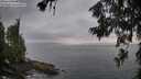 ./images/koeye/fitz-hugh/20260630/fitz-hugh20260630_055002M.jpg