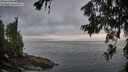 ./images/koeye/fitz-hugh/20260630/fitz-hugh20260630_060001M.jpg