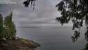 ./images/koeye/fitz-hugh/20260630/fitz-hugh20260630_064501M.jpg
