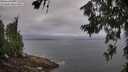 ./images/koeye/fitz-hugh/20260630/fitz-hugh20260630_074001M.jpg