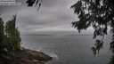 ./images/koeye/fitz-hugh/20260630/fitz-hugh20260630_080501M.jpg