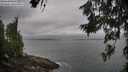 ./images/koeye/fitz-hugh/20260630/fitz-hugh20260630_081002M.jpg
