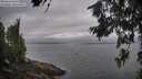 ./images/koeye/fitz-hugh/20260630/fitz-hugh20260630_081501M.jpg