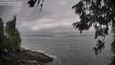 ./images/koeye/fitz-hugh/20260630/fitz-hugh20260630_083001M.jpg