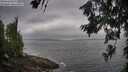 ./images/koeye/fitz-hugh/20260630/fitz-hugh20260630_083501M.jpg