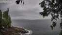 ./images/koeye/fitz-hugh/20260630/fitz-hugh20260630_085001M.jpg