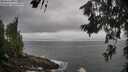 ./images/koeye/fitz-hugh/20260630/fitz-hugh20260630_091002M.jpg