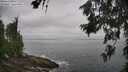 ./images/koeye/fitz-hugh/20260630/fitz-hugh20260630_092002M.jpg