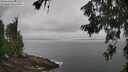 ./images/koeye/fitz-hugh/20260630/fitz-hugh20260630_093002M.jpg
